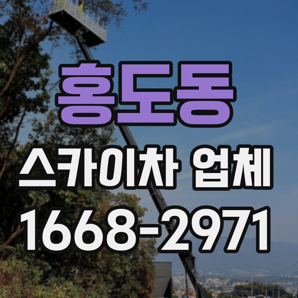 홍도동 스카이차 업체