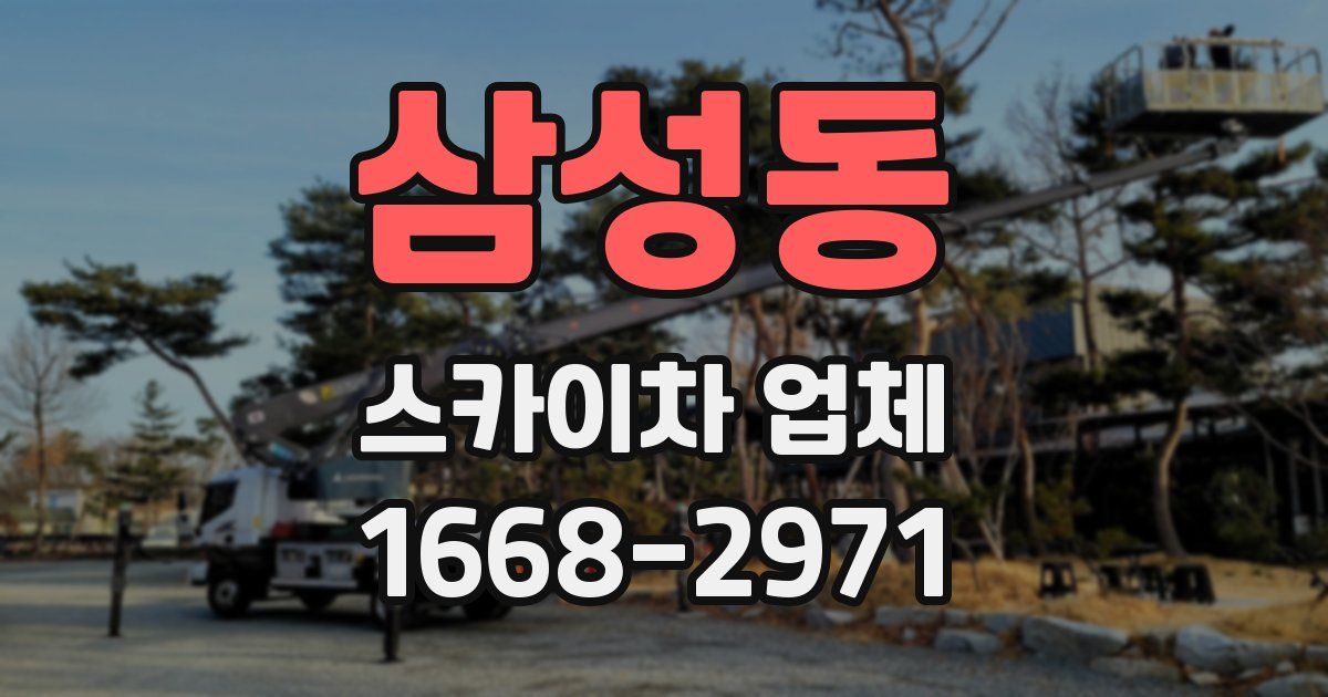 삼성동 스카이차 업체
