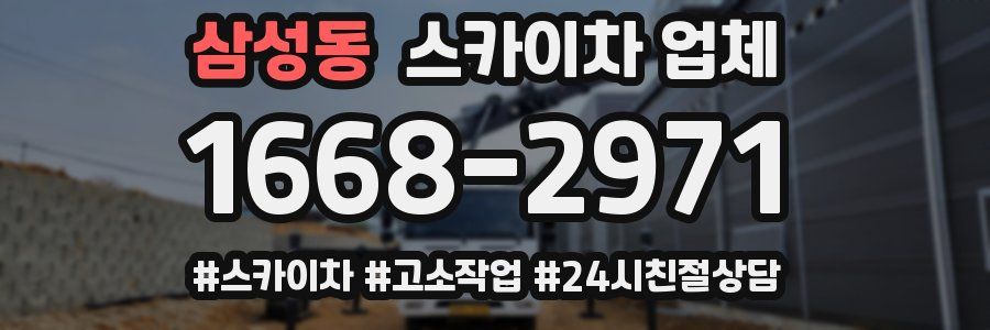 삼성동 스카이차 업체