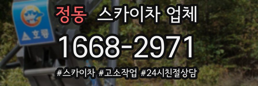 정동 스카이차 업체