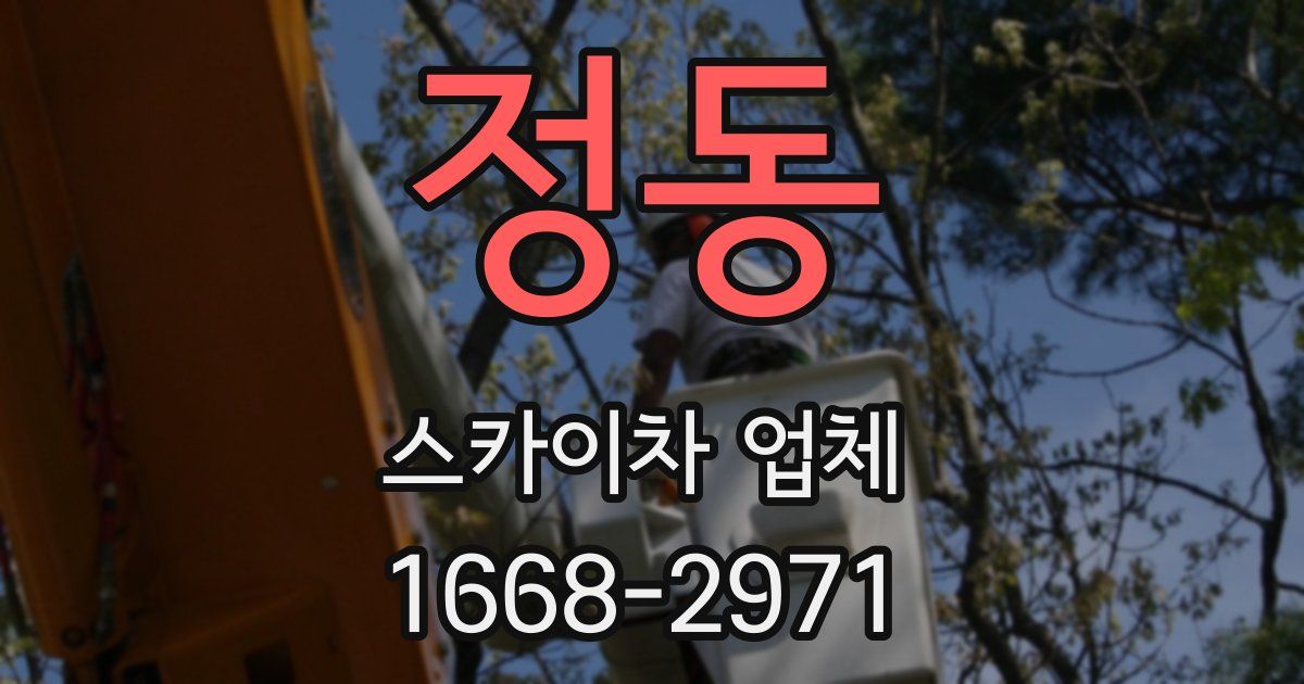 정동 스카이차 업체