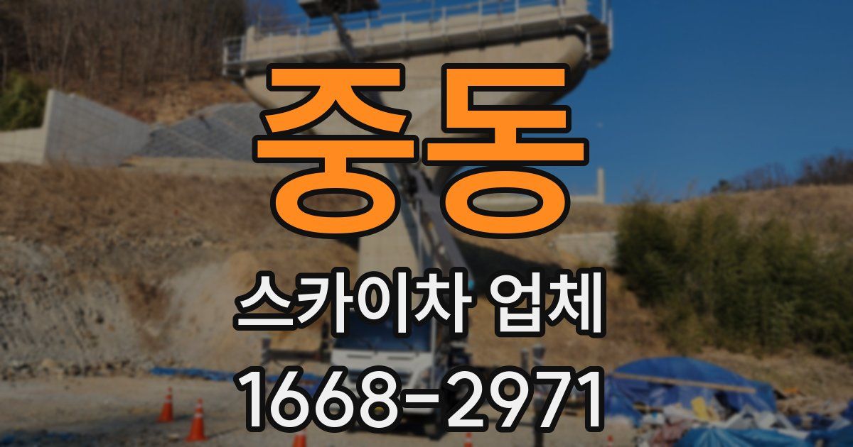 중동 스카이차 업체