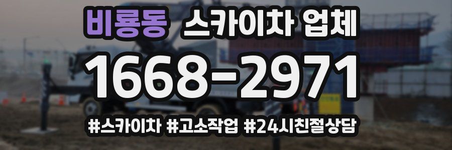 비룡동 스카이차 업체