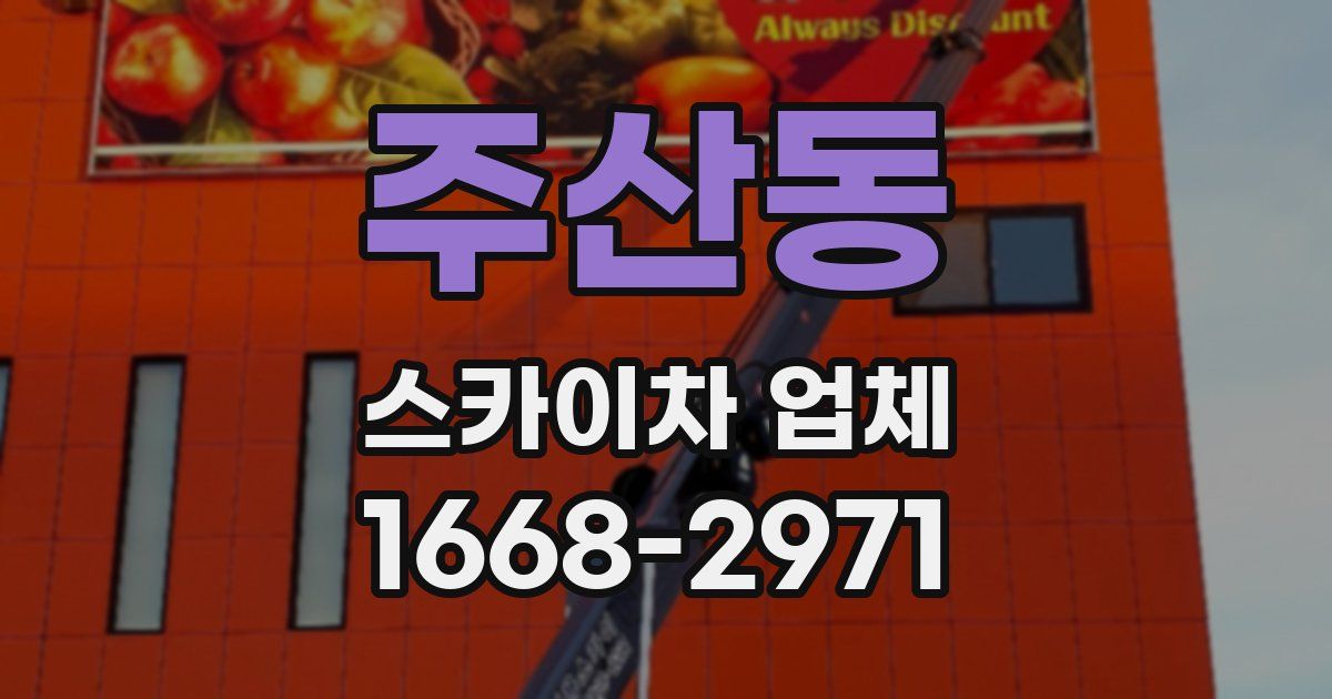 주산동 스카이차 업체