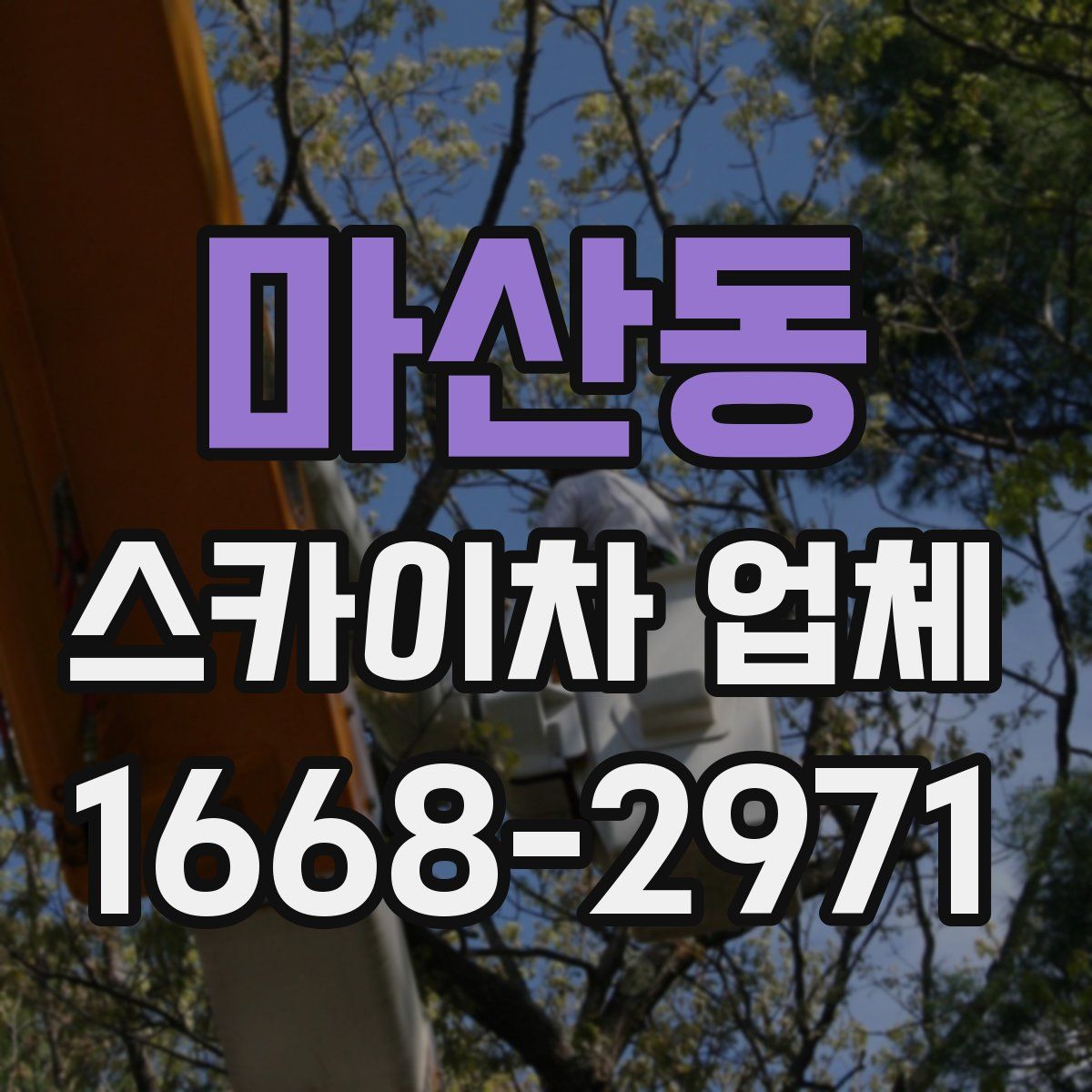 마산동 스카이차 업체