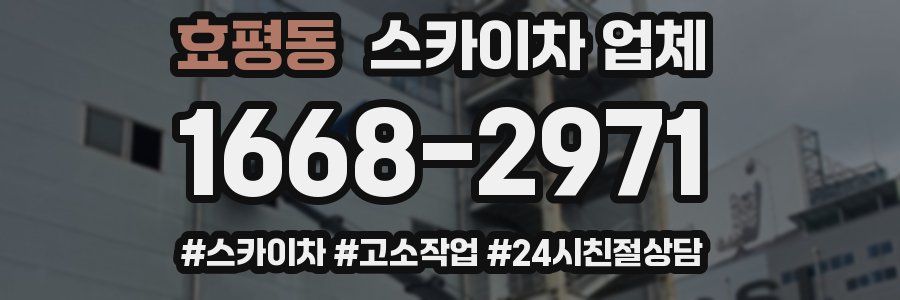 효평동 스카이차 업체