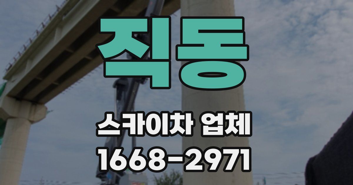 직동 스카이차 업체