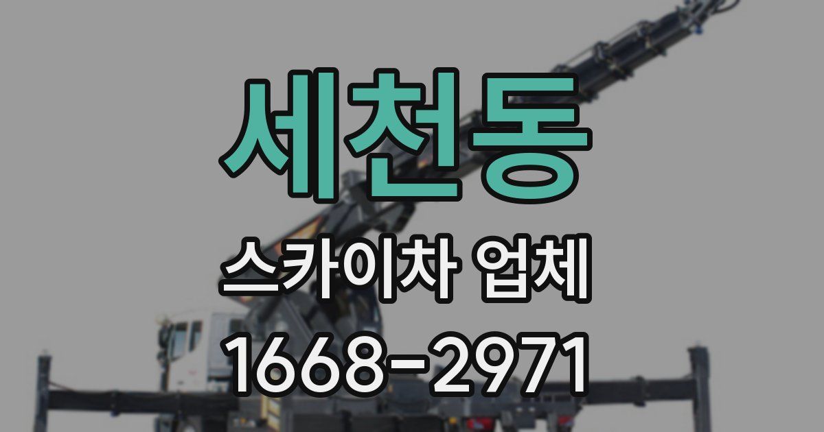세천동 스카이차 업체