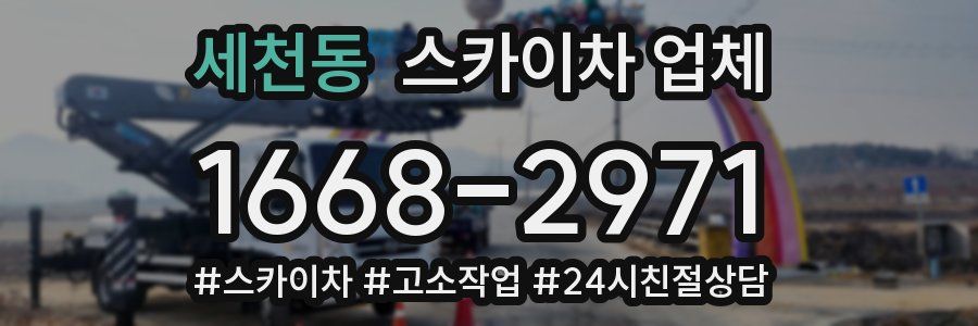 세천동 스카이차 업체