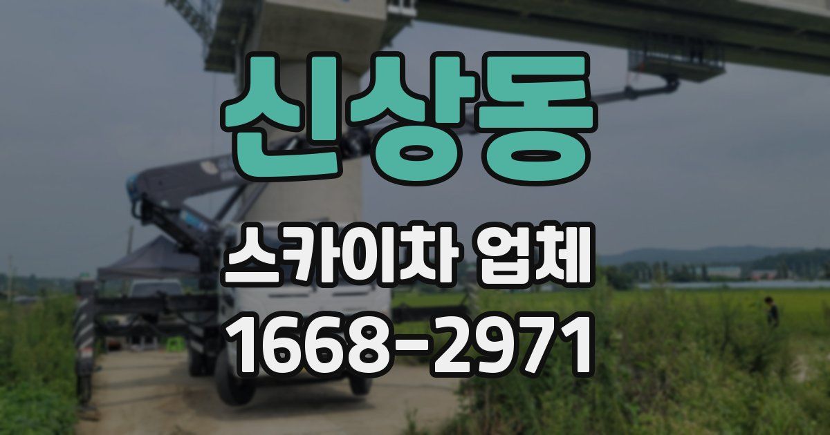 신상동 스카이차 업체