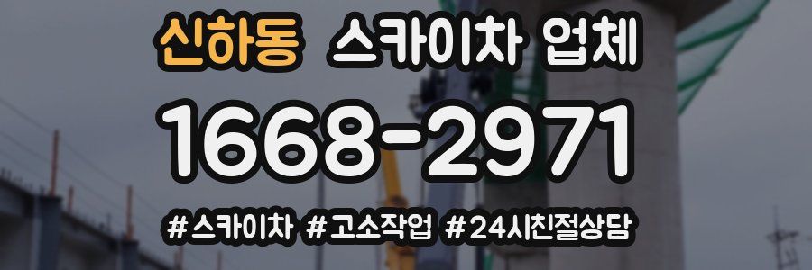 신하동 스카이차 업체
