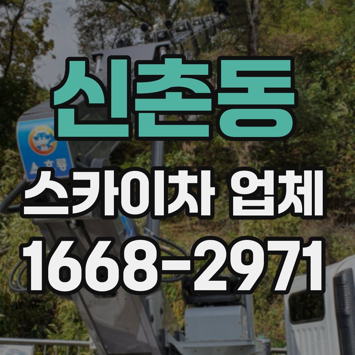 신촌동 스카이차 업체