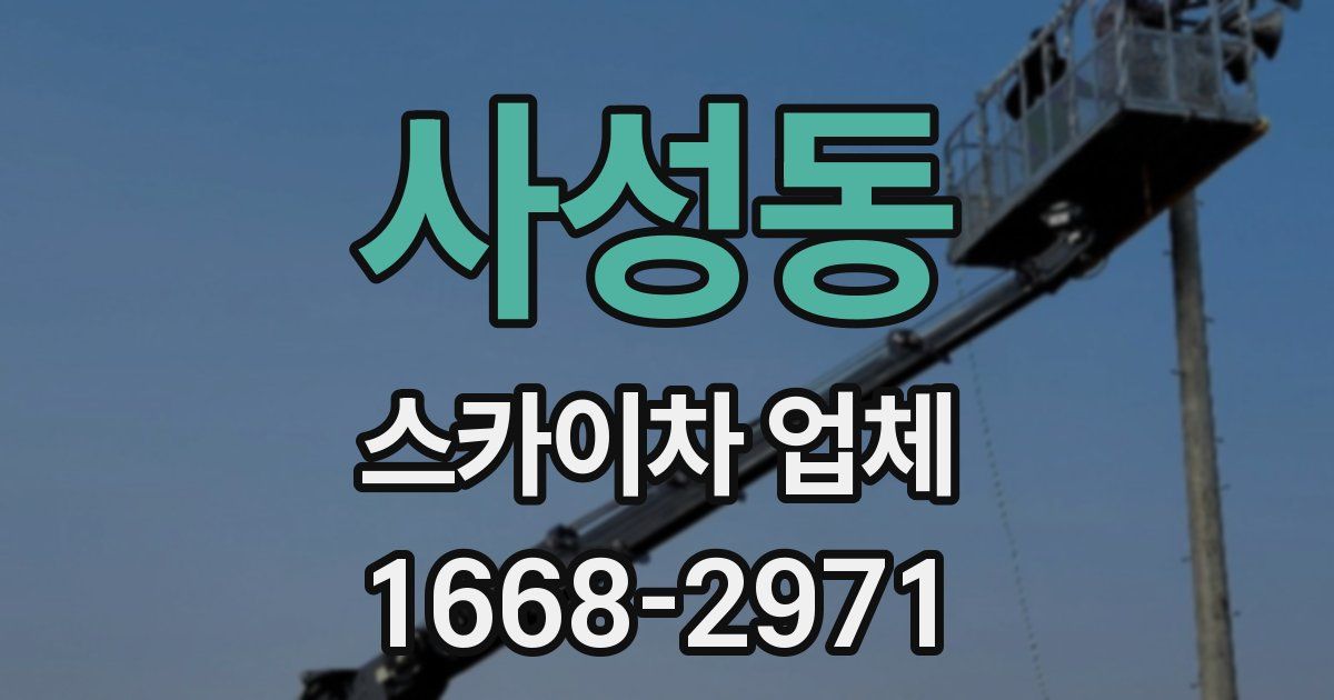 사성동 스카이차 업체