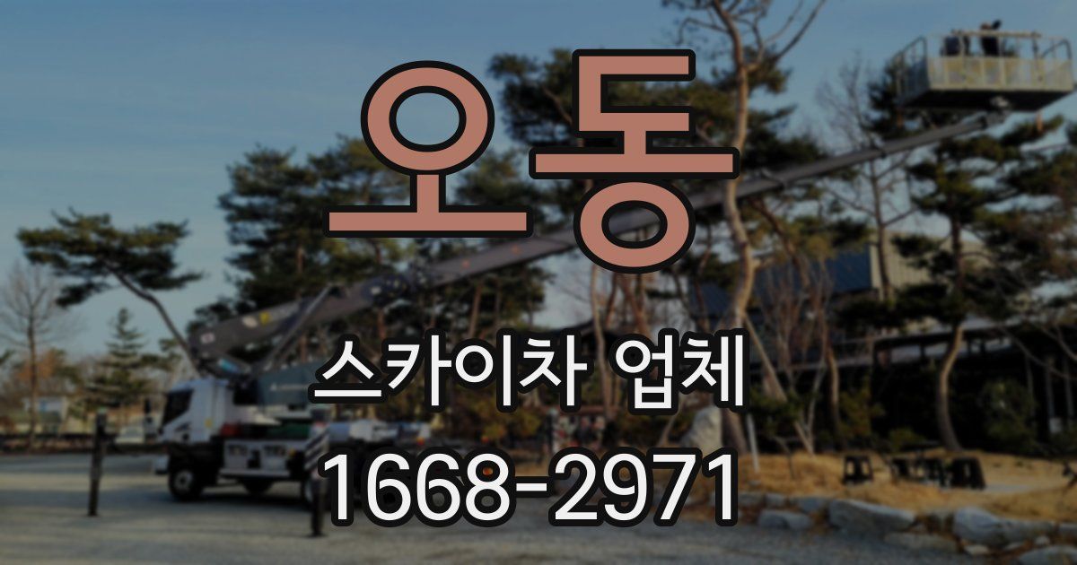 오동 스카이차 업체