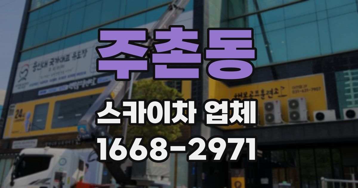 주촌동 스카이차 업체