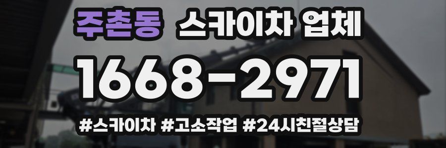 주촌동 스카이차 업체