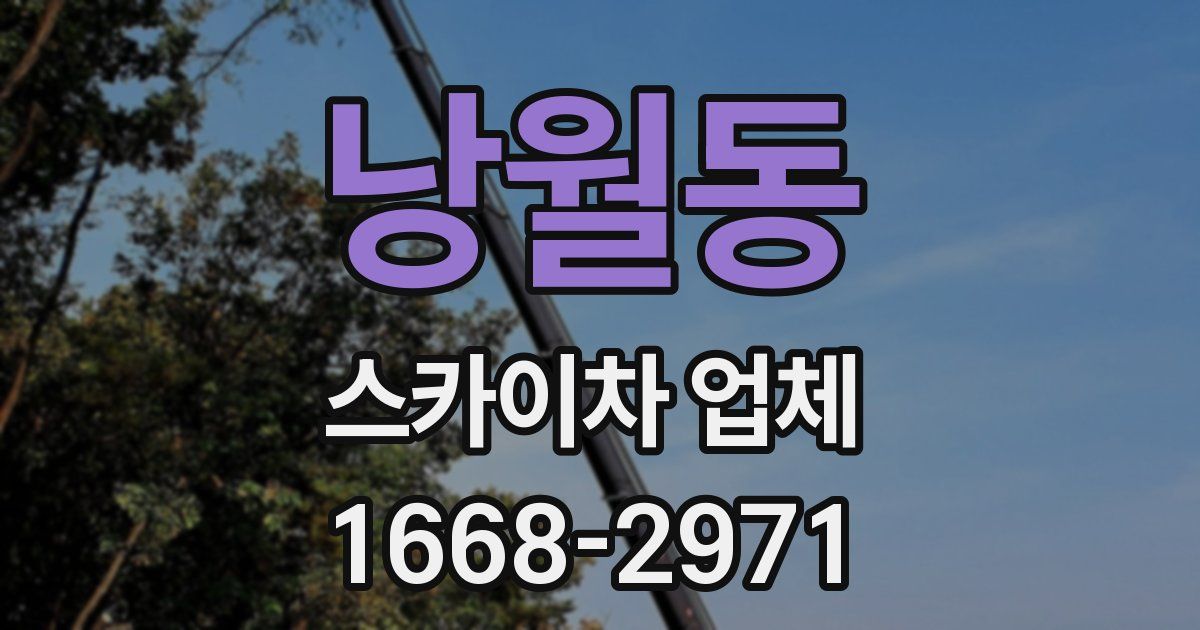 낭월동 스카이차 업체