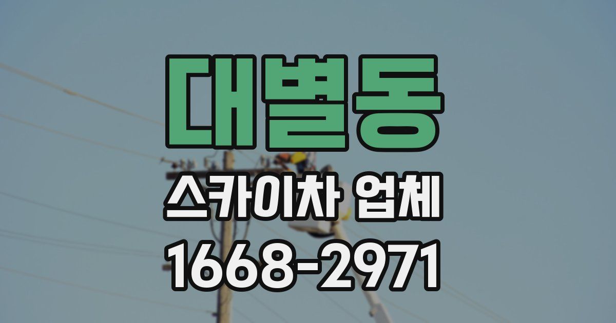 대별동 스카이차 업체