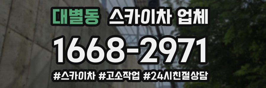 대별동 스카이차 업체