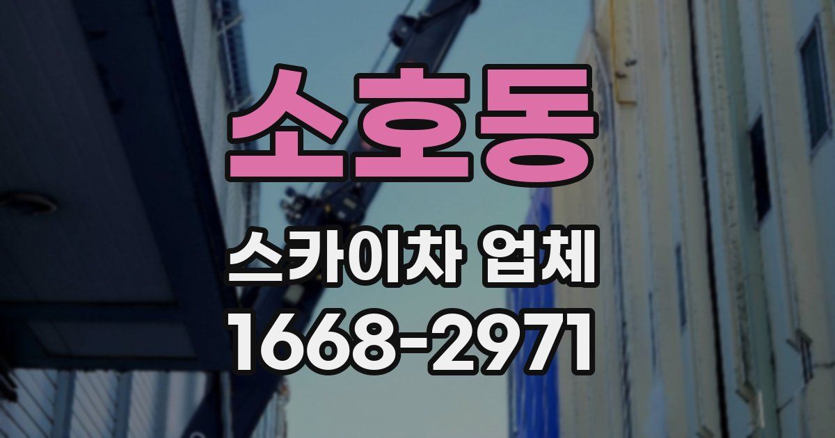 소호동 스카이차 업체