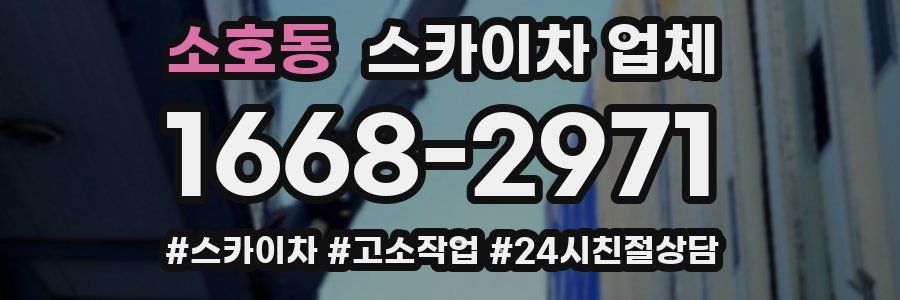 소호동 스카이차 업체