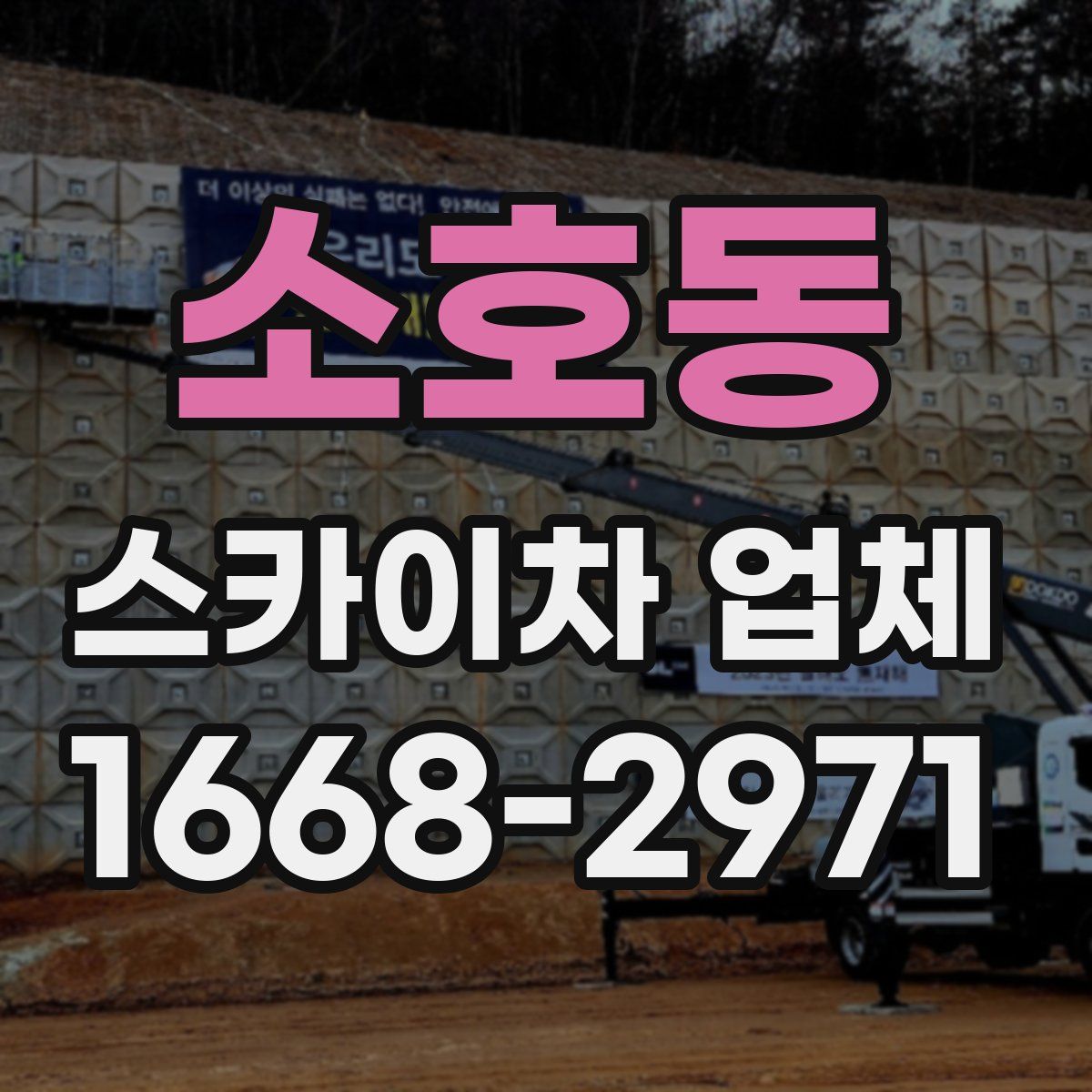 소호동 스카이차 업체