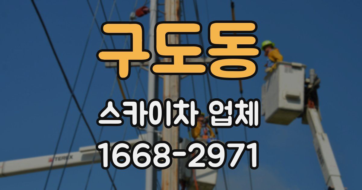구도동 스카이차 업체