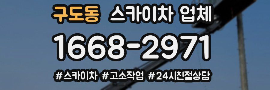 구도동 스카이차 업체