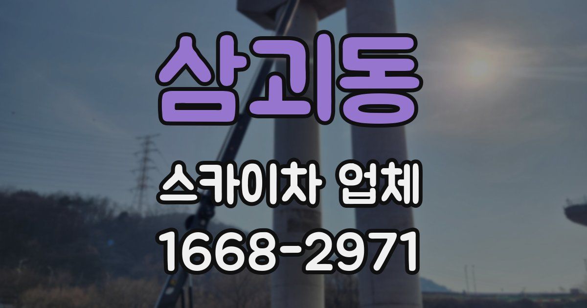 삼괴동 스카이차 업체