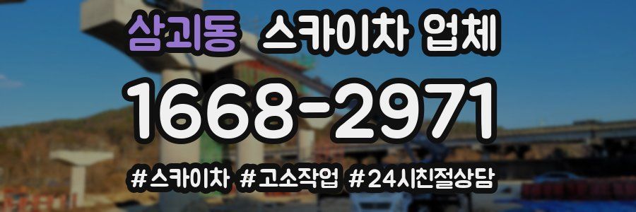 삼괴동 스카이차 업체