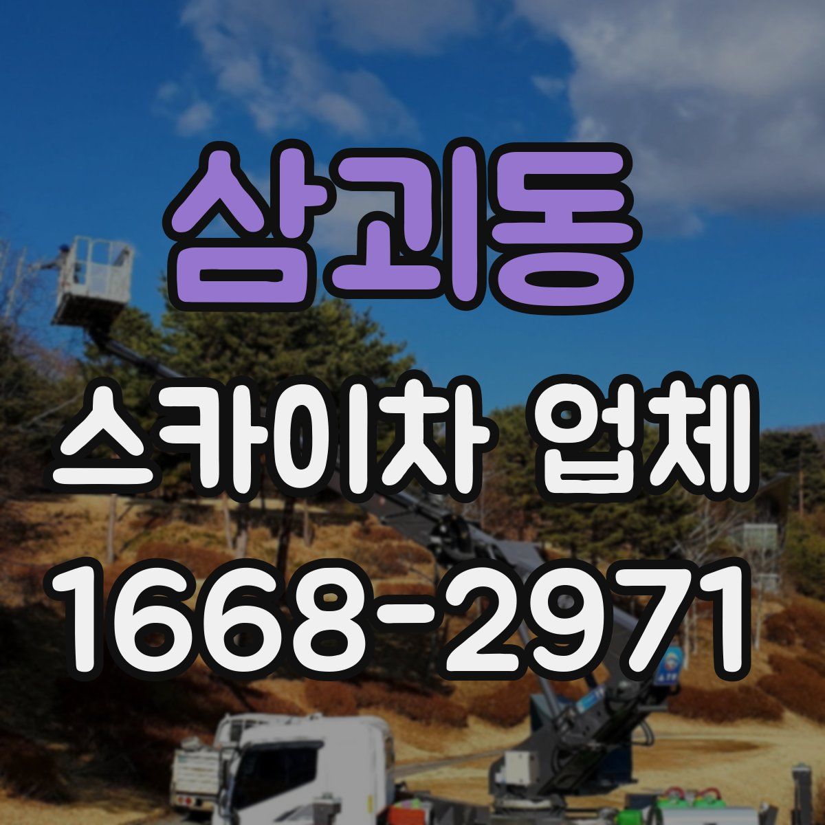 삼괴동 스카이차 업체