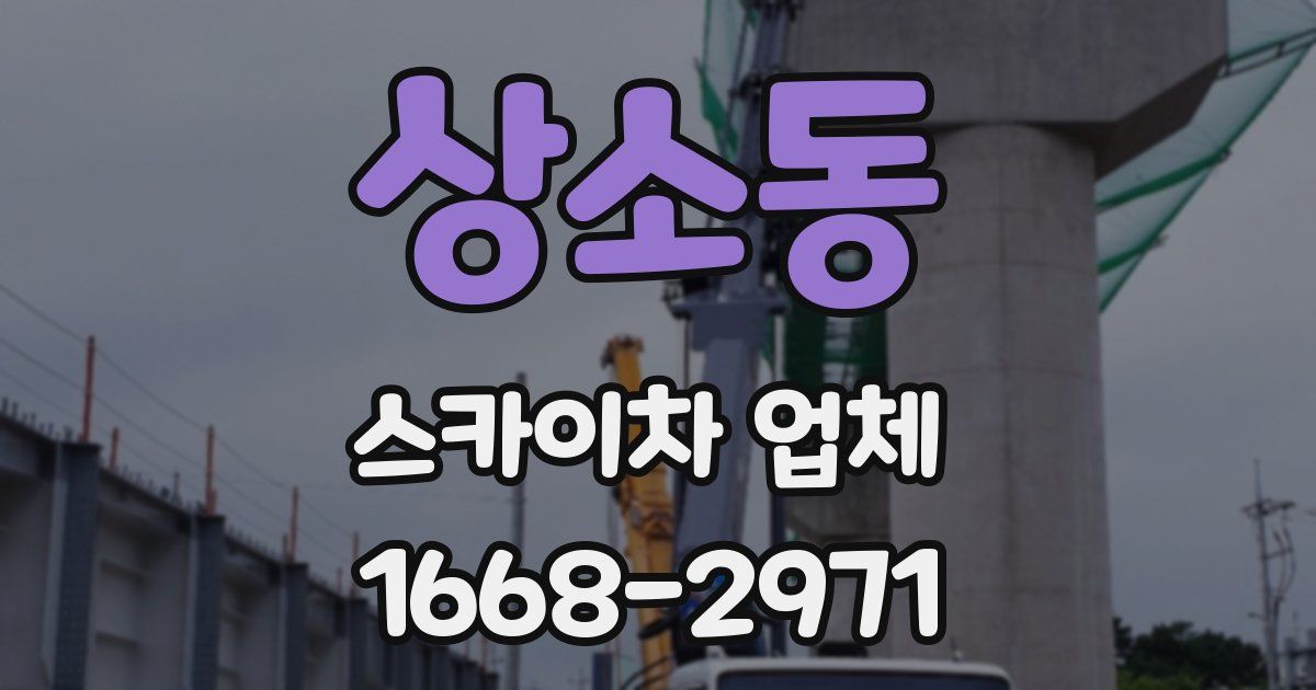 상소동 스카이차 업체