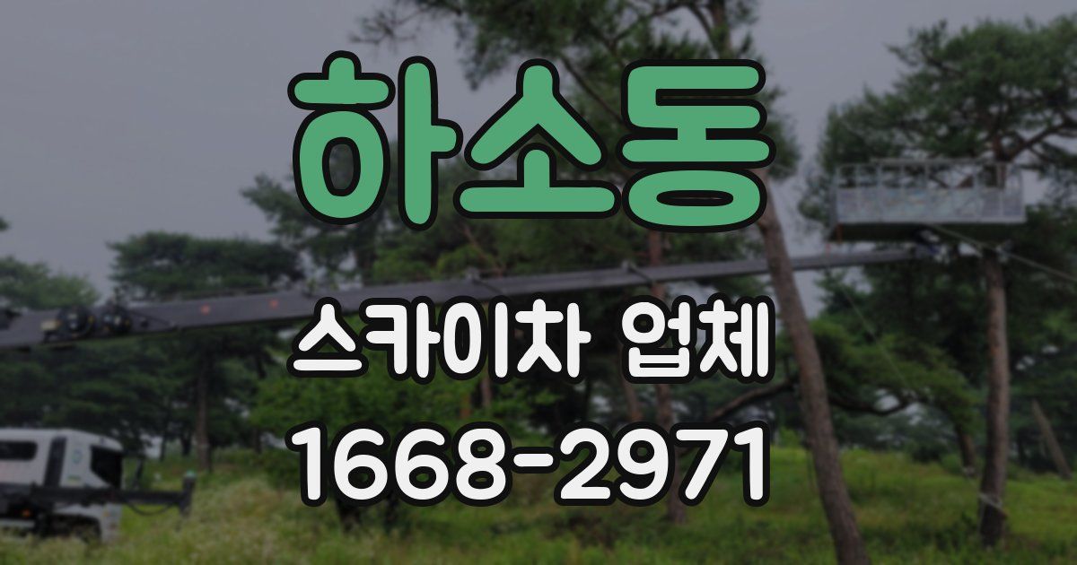 하소동 스카이차 업체