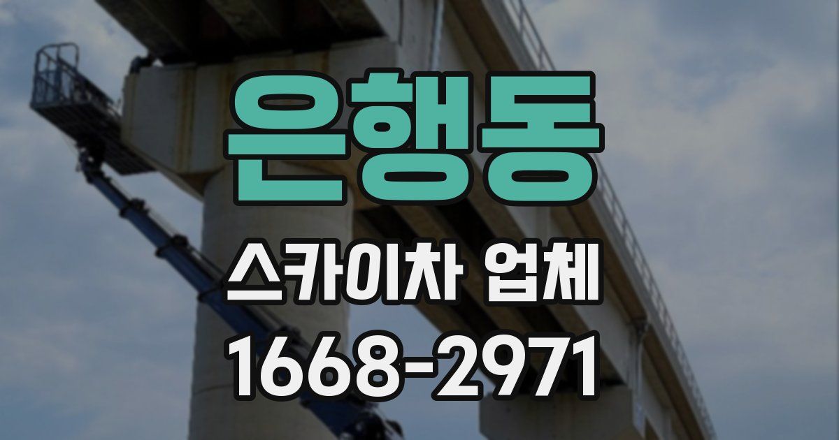 은행동 스카이차 업체