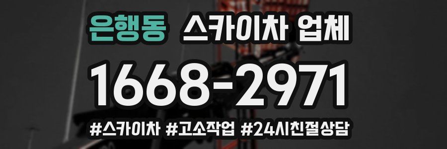 은행동 스카이차 업체