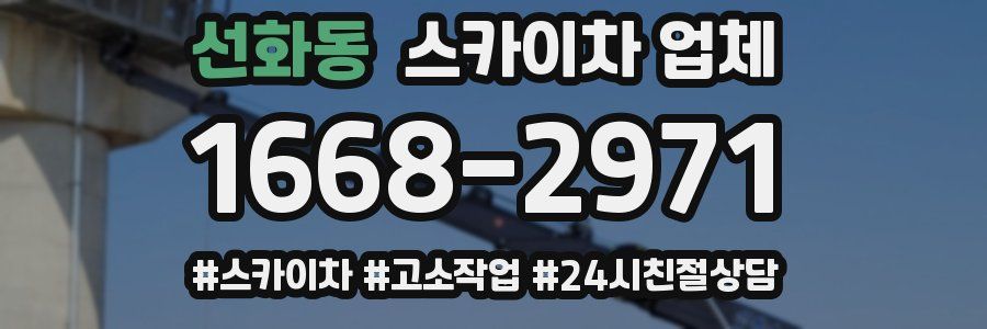 선화동 스카이차 업체