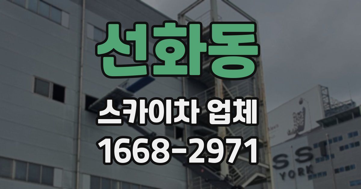 선화동 스카이차 업체