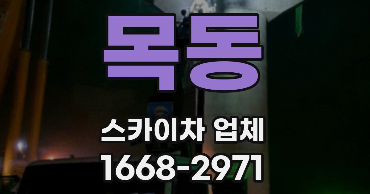 목동 스카이차 업체