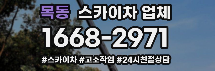 목동 스카이차 업체