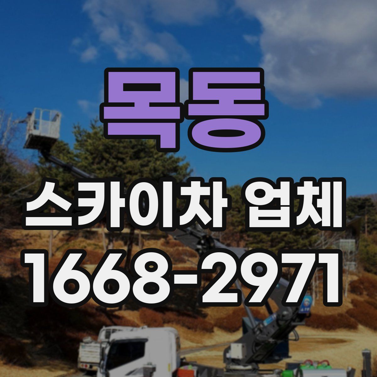 목동 스카이차 업체