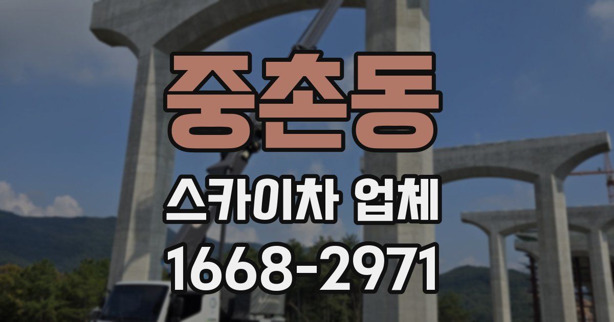 중촌동 스카이차 업체