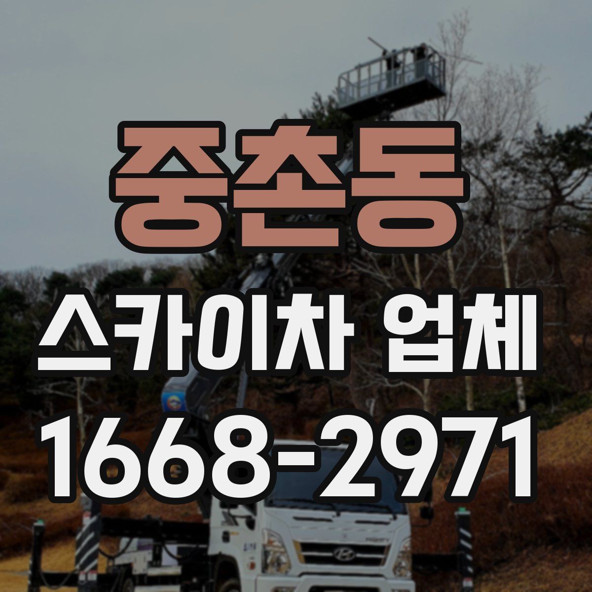 중촌동 스카이차 업체