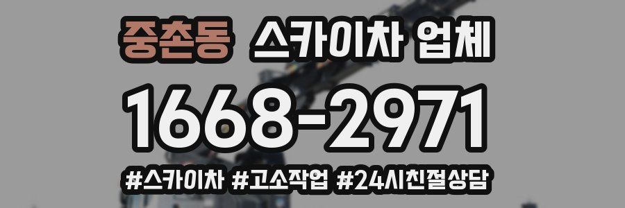 중촌동 스카이차 업체