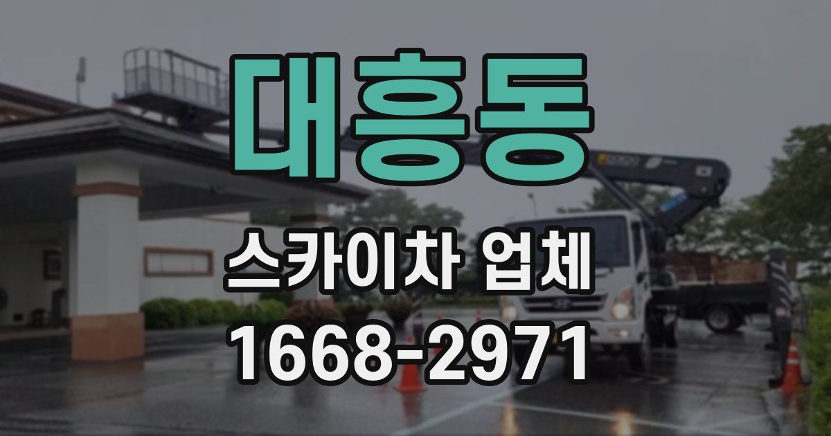 대흥동 스카이차 업체