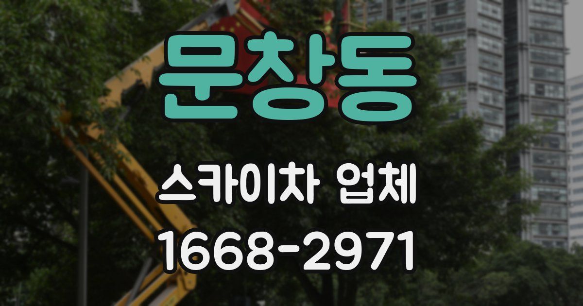 문창동 스카이차 업체