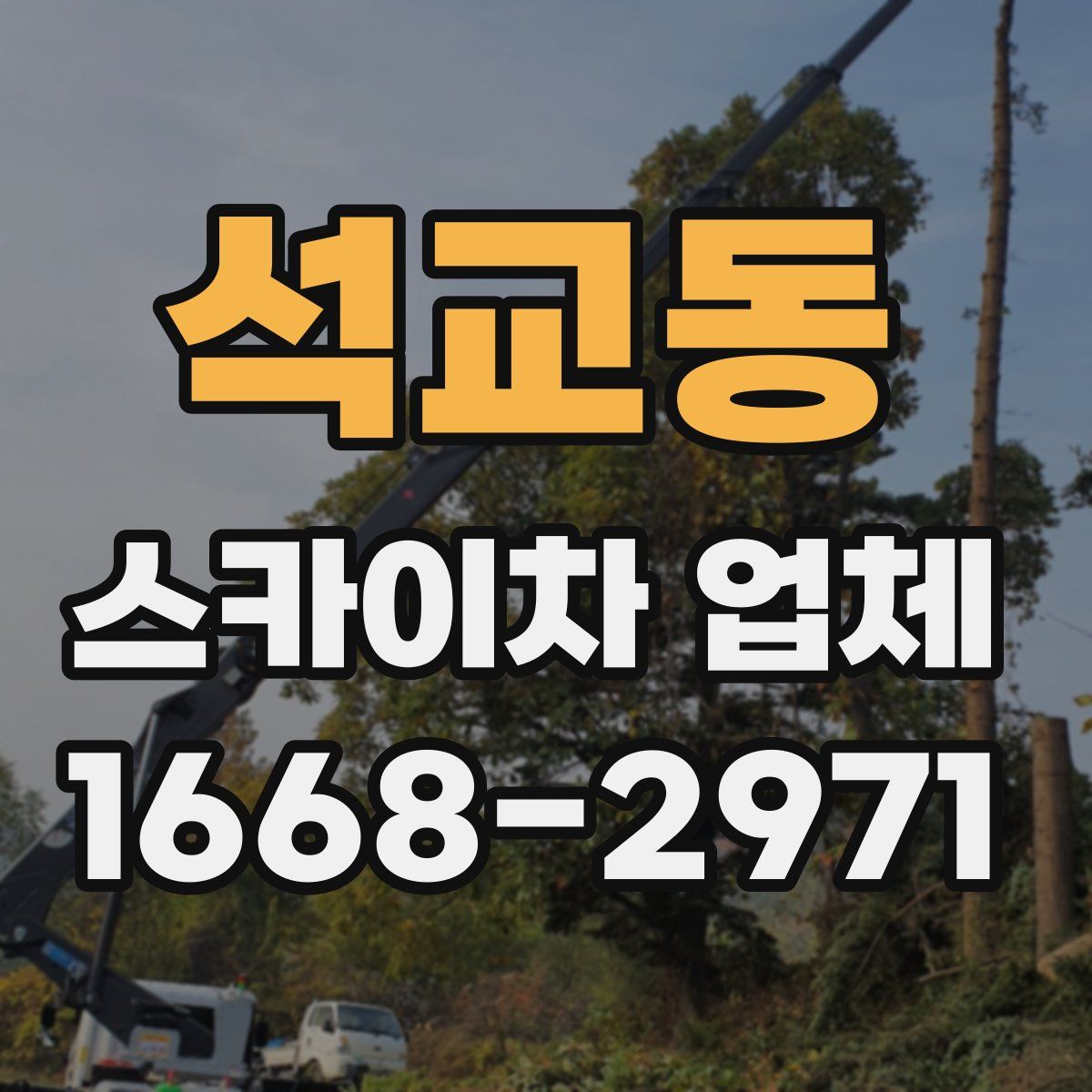 석교동 스카이차 업체