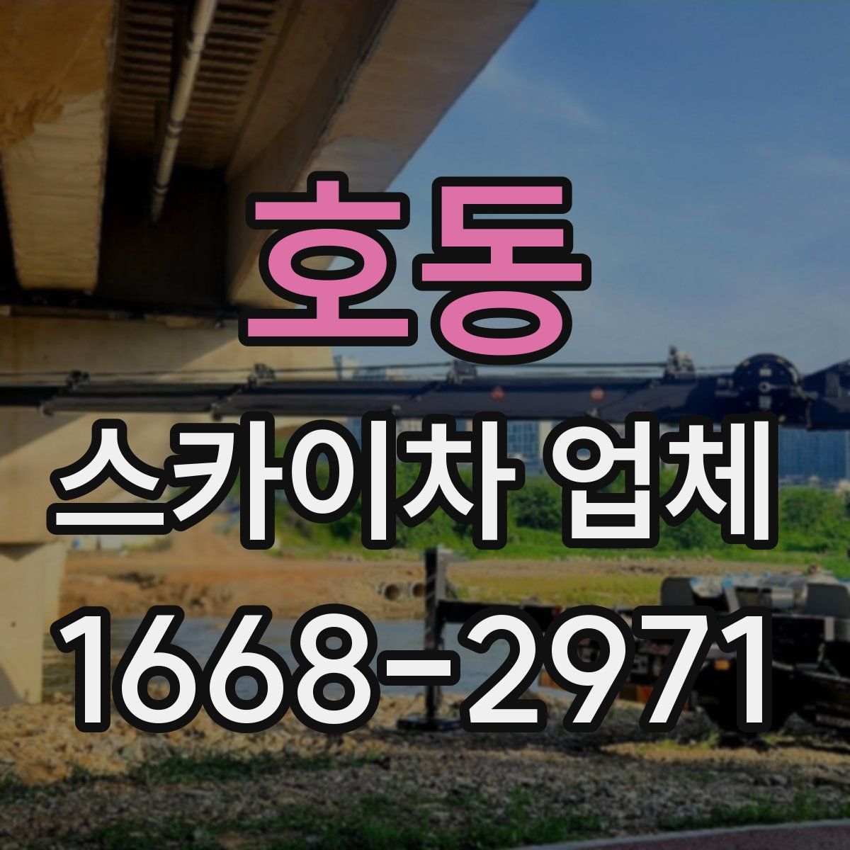 호동 스카이차 업체