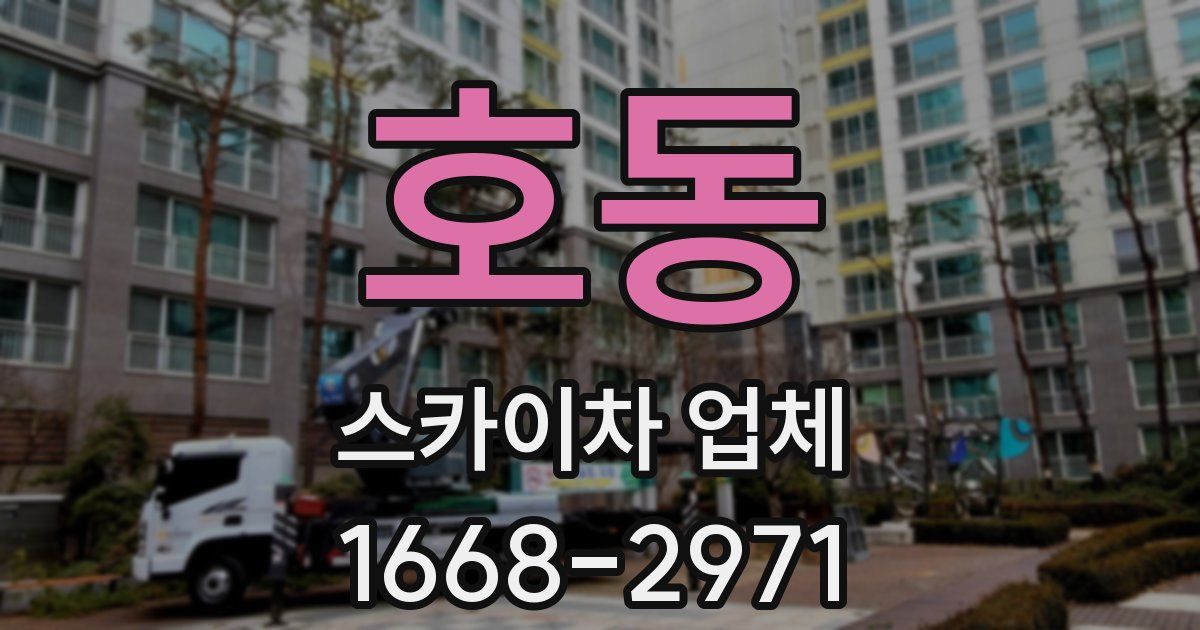호동 스카이차 업체