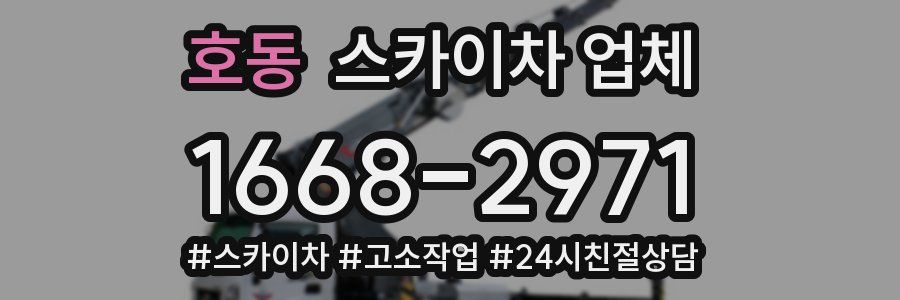 호동 스카이차 업체