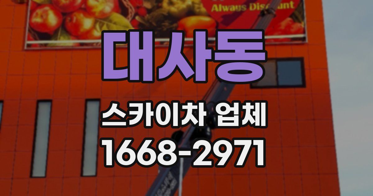 대사동 스카이차 업체